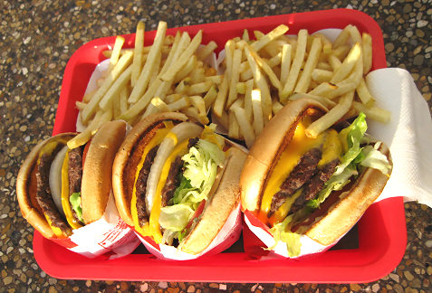 in-n-out-burger-double-double-and-fries-2