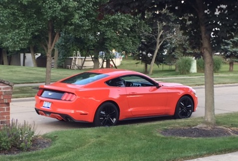 2015 Ford Mustang - back
